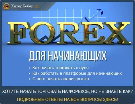 биржевые термины форекс
